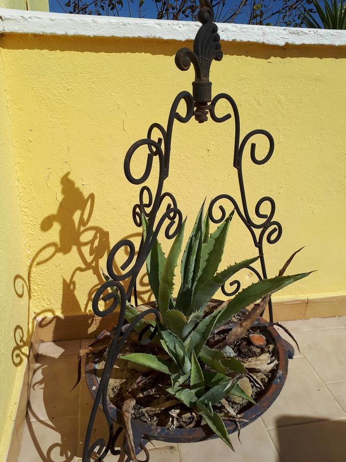 Chrysanthi Melitsa Apts. Sidari  Zewnętrze zdjęcie