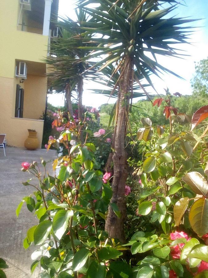 Chrysanthi Melitsa Apts. Sidari  Zewnętrze zdjęcie